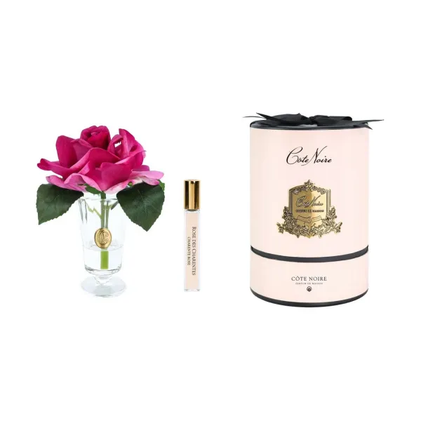 Роза 17 см «Charente Rose» пурпурная, Cote Noire